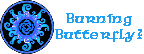 B button